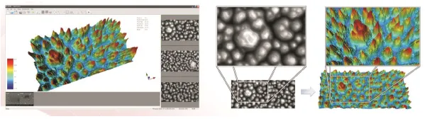3D reconstruction of SEM images of micro-nano structures in NanoViewer